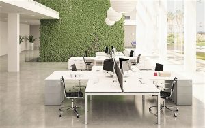 novità arredo 2021 tavolo scrivania operativo per ufficio con verde verticale - riganelli