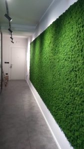 verde stabilizzato applicato a parete interna uffici -riganelli