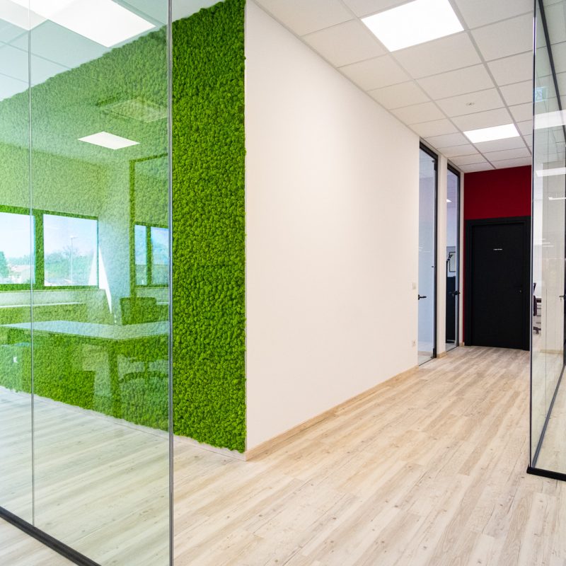 Progettazione verde verticale in ufficio -riganelli